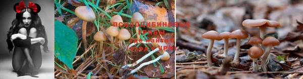 мефедрон VHQ Ельня