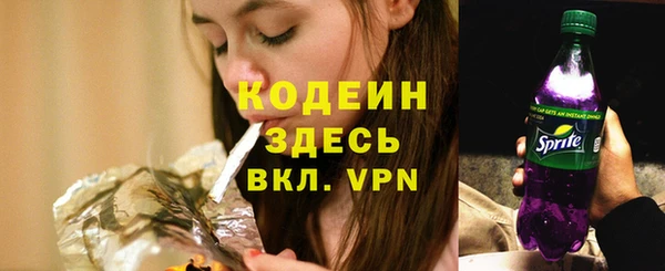ешки Елизово