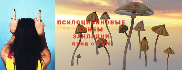 бошки Елабуга
