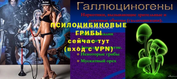бошки Елабуга