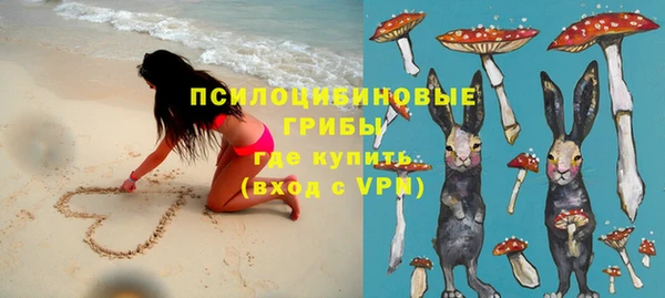 ешки Елизово