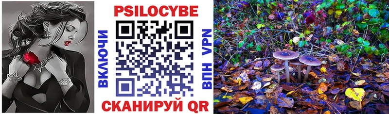 Псилоцибиновые грибы Psilocybe  Купить где  Чекалин 
